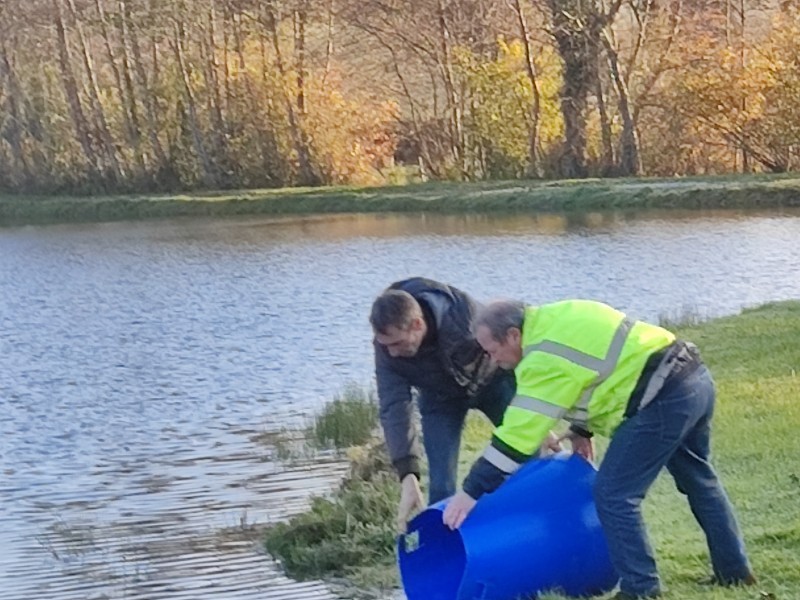Rempoissonnement du plan d'eau.
